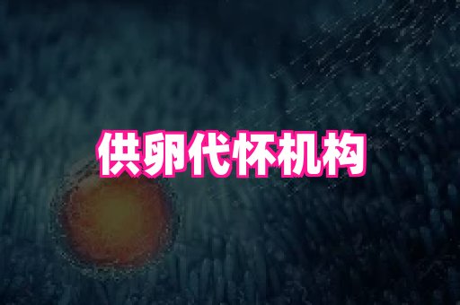 nub孕网 1
